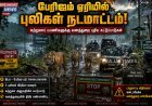 கொடைக்கானல் பேரிஜம் ஏரியில் புலிகள் நடமாட்டம்.. சுற்றுலாப் பயணிகளுக்கு கட்டுப்பாடு!