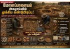 கோவை அகழாய்வில் அதிர்ச்சி கண்டுபிடிப்பு! 2 குழந்தைகளின் எலும்புக்கூடுகள் உட்பட அரிய தொல்பொருட்கள் கண்டெடுப்பு