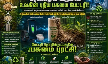 மரக்கூழில் இருந்து உருவான புதிய பேட்டரி: மண்ணில் கரைந்து நச்சுக் கழிவு இல்லாமல் மறையும் கனடாவின் கண்டுபிடிப்பு