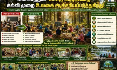 வகுப்பறைக்கு பதிலாக காடு: பின்லாந்து பள்ளிகளின் புதுமையான கல்வி முறை